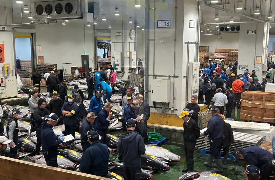 Private Toyosu & Tsukiji Market Adventure